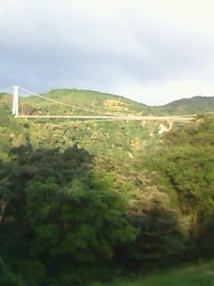 �苴�ł���[��B